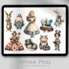 Ditigales Stickerset Alice