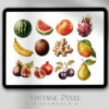 Digitales Stickerset Fruit and Vegi