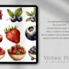 Digitales Stickerset Fruit and Vegi