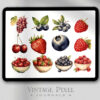 Digitales Stickerset Fruit and Vegi