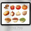 Digitales Stickerset Fruit and Vegi