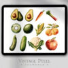 Digitales Stickerset Fruit and Vegi