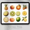 Digitales Stickerset Fruit and Vegi